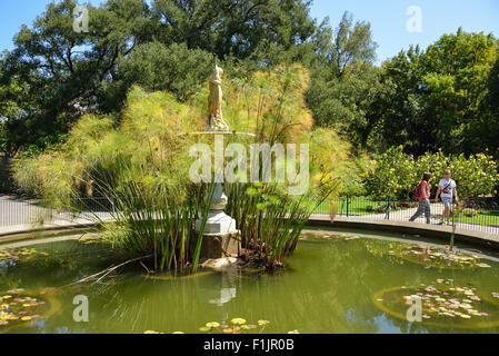 Thorne fontana nel giardino pubblico, la società del giardino, Cape Town, Provincia del Capo occidentale, Repubblica del Sud Africa Foto Stock