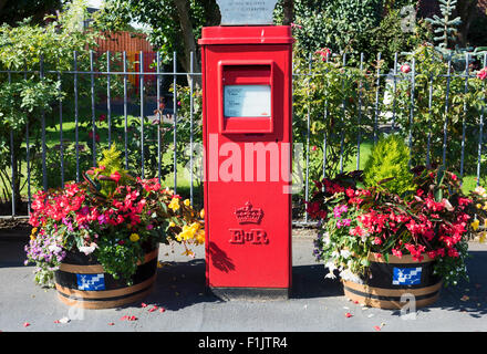 Insolito post box circondata da fiori, per commemorare il giubileo d'argento della regina Elisabetta II situato nella colorazione, lancashire Foto Stock