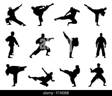 Silhouette nera di karate fighting, vettore Foto Stock