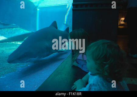 Bambino guardando i pesci, l'acquario Ushaka Marine World theme park, Durban, Natal Foto Stock