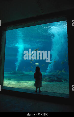 Bambino guardando i pesci, l'acquario Ushaka Marine World theme park, Durban, Natal Foto Stock