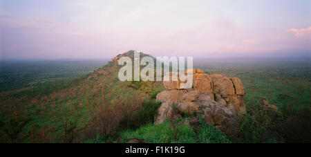 Ulusaba Private Game Reserve, Sabi Sands, Sud Africa Foto Stock