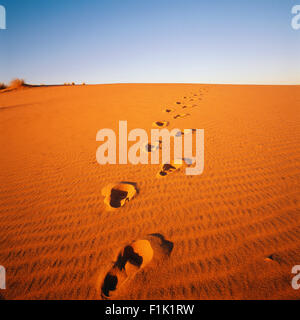 Orme nella sabbia Pella, Northern Cape Sud Africa Foto Stock