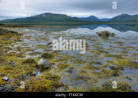 Loch na Keal Isle of Mull Scotland, Regno Unito la007586 Foto Stock