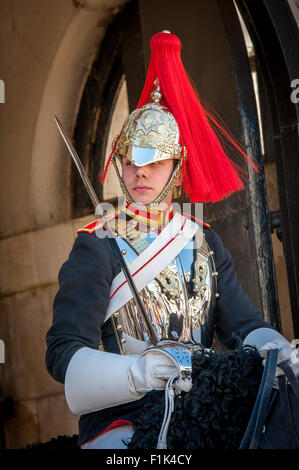 Soldato del Queen's Life Guard montato e di sentinella a Londra, Inghilterra. Foto Stock