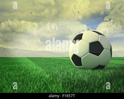 Immagine 3d di pallone da calcio in erba Foto Stock