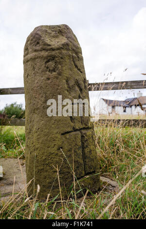 Il nono e il decimo secolo albero decorato da una croce anglosassone, Lyme Park Moor, Cheshire, Inghilterra, Regno Unito Foto Stock