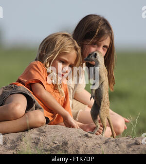 Le ragazze a giocare con il tame meerkat family nel selvaggio Foto Stock