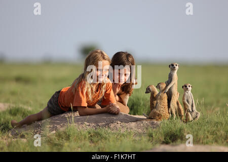 Le ragazze a giocare con il tame meerkat family nel selvaggio Foto Stock