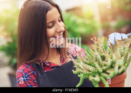 Piuttosto giovani horticulturalist lavorando con vasi di piante in serra la rimozione di foglie morte come lei li prepara per la vendita in Foto Stock