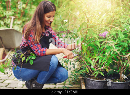 Attraente piuttosto giovane femmina lavoratore vivaio la piegatura verso il basso la potatura di una pianta in vaso in serra la sua preparazione per la vendita presso il Foto Stock