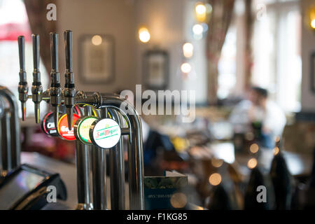 Una fila di birra pompe durante un pranzo in un pub UK Foto Stock