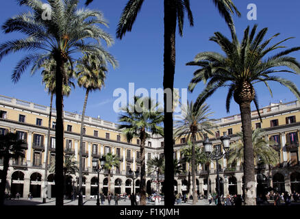 La Plaça Reial Square a Barcellona, in Catalogna, Spagna, Europa Foto Stock