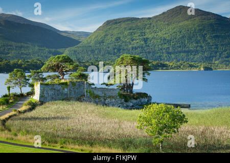 McCarthy Mor Castello (b. Xii secolo), lungo il Lough Leane vicino a Killarney, nella contea di Kerry, Irlanda Foto Stock