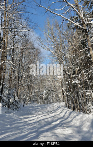 Coperta di neve strada in Mercer, Wisconsin Foto Stock