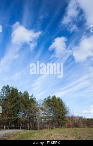 Lunga cirrus nuvole skyscape Foto Stock