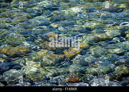 Cristallo di acqua di mare come sfondo Foto Stock