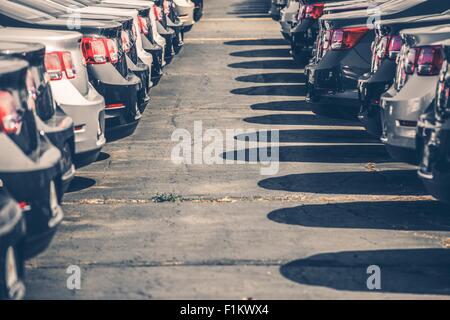 Nuovo di Zecca automobili per la vendita. Due righe di auto. Magazzino del concessionario. Foto Stock