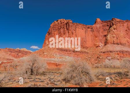 Capitol Reef formazione nello Utah, Stati Uniti d'America. Estate nel Parco nazionale di Capitol Reef. Foto Stock