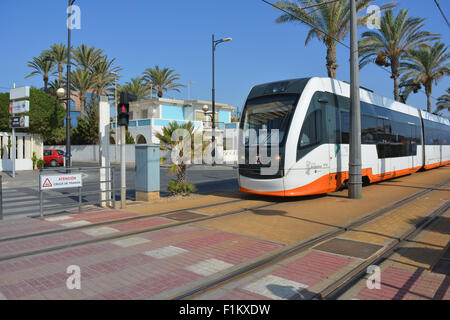 Alicante il tram in Campello in viaggio verso la città di Alicante. Attraversamento pedonale sulla linea del tram, con luce rossa e di avvertimento. Foto Stock