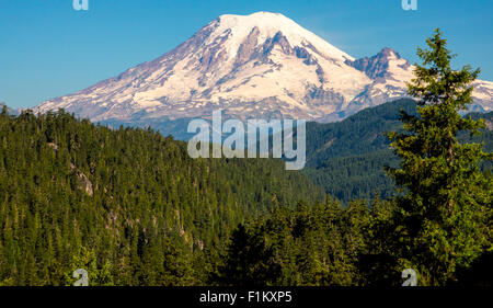 Scenic close-up del Monte Rainer circondato da una foresta di alberi. Nello stato di Washington. Stati Uniti d'America Foto Stock