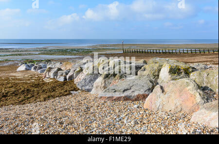 Grandi rocce su una spiaggia di ghiaia a bassa marea, con molte alghe, sulla costa meridionale di Rustington, West Sussex, Inghilterra, Regno Unito. Foto Stock