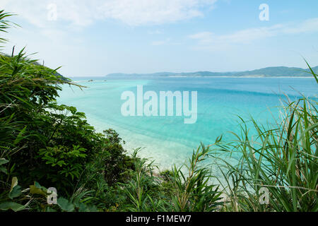 Bella spiaggia tropicale paradiso di Amami Oshima nel Giappone meridionale vicino a Okinawa Foto Stock