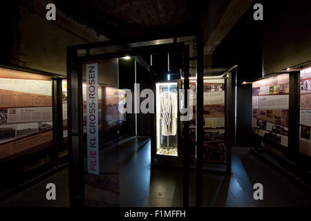 La mostra presenta la storia e resti del periodo nazista e il lavoro forzato dei campi di concentramento i prigionieri sul Palazzo Fuerstenstein (Ksiaz Palace) in Walbrzych, Polonia, 3 settembre 2015. Il sistema di tunnel sotto i locali è attualmente utilizzato dall'istituto geofisico del polacco Acadamy della scienza per scopi di ricerca. Il sistema di tunnel di totali di una lunghezza di 2 chilometri ed è stato costruito dal campo di concentramento i prigionieri in gran segreto durante la Seconda Guerra Mondiale. Lo scopo dell'installazione era destinata a servire come un centro di comando e la residenza temporanea per alta classifica Foto Stock