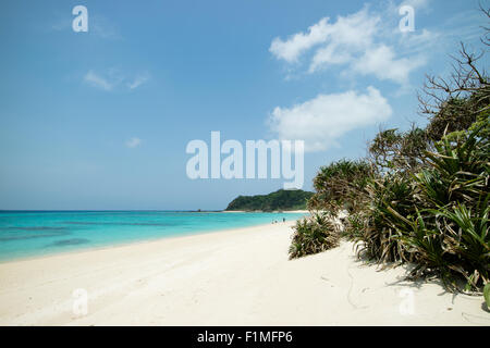 Bella spiaggia tropicale paradiso di Amami Oshima nel Giappone meridionale vicino a Okinawa Foto Stock