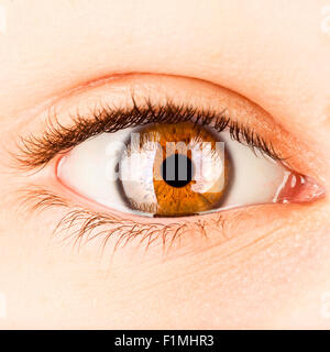 Foto occhio umano di close-up. Foto Stock