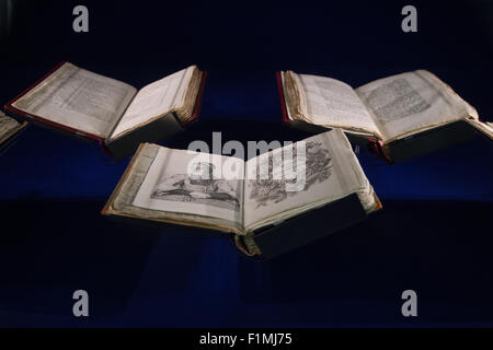 Kassel, Germania. 04 Sep, 2015. Copie della prima edizione dei bambini e della famiglia raccolta di racconti dei fratelli Grimm con molte note manoscritte sono visti nella giornata di apertura della nuova mostra casa 'Grimmwelt' (lit. Grimm mondo) a Kassel in Germania, 04 settembre 2015. Il nuovo museo Grimm si apre dopo due anni di lavori di costruzione. Foto: Swen Pfoertner/dpa/Alamy Live News Foto Stock