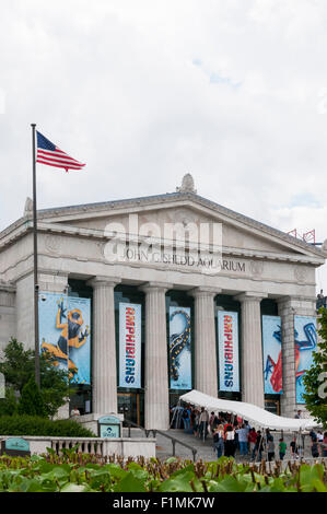 Coda per entrare John G. Shedd Aquarium di Grant Park di Chicago. Foto Stock