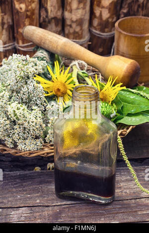 Tagliare mazzetto piante medicinali,malta sulla tavola di legno.tonica. Foto Stock