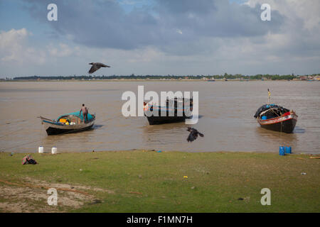 Erbe sulle rive del fiume e barche da pesca in un porto comunitario sul fiume Haldi, un affluente del fiume Hooghly in Haldia, Bengala occidentale, India. Foto Stock