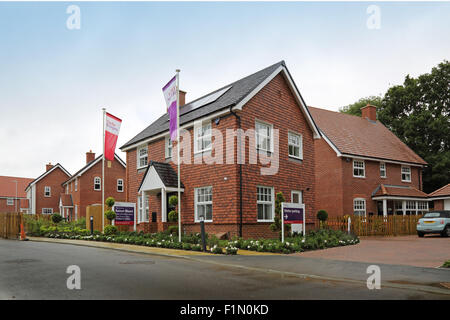 Visualizza case su un nuovo Taylor Wimpey sviluppo residenziale in Kent, Regno Unito Foto Stock