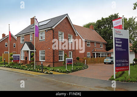 Visualizza case su un nuovo Taylor Wimpey sviluppo residenziale in Kent, Regno Unito Foto Stock