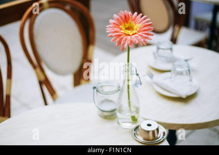 Flower Daisy Gerbera In Vaso bottiglia a stare a tavola al Cafe' all'aperto Foto Stock