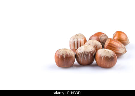 Le nocciole noci nocciole isolati su sfondo bianco Foto Stock