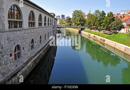 Fiume Ljubljanica e Butcher's bridge in background su un luminoso giorno di sole, Lubiana, Slovenia Foto Stock