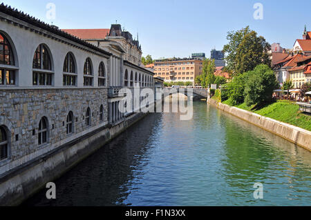 Fiume Ljubljanica e Triple ponti in background su un luminoso giorno di sole, Lubiana, Slovenia Foto Stock