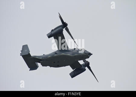 Vista parte inferiore di un bell Boeing V-22 Osprey aerei militari battenti tettuccio Foto Stock