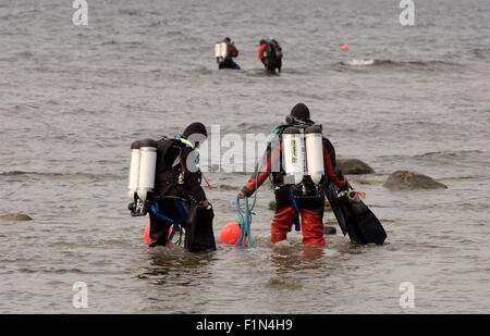 AJAXNETPHOTO - xx agosto, 2008, Brusviken, Gotland, Svezia - HUMA - Patrimonio subacquea archeologia marina - subacquei volontari con circospezione fare il loro modo a uno dei siti a 200 metri in mare aperto dove relitti di navi Danish-Lubeck affondata al largo dell'isola nel 1566 sono stati trovati. Foto:JONATHAN EASTLAND/AJAX REF:82008 1244 Foto Stock