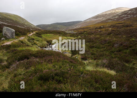 Il percorso seguente Glas-fiume allt portando a Lochnagar - Loch Muick a Lochnagar percorso - Aberdeenshire - Scozia - UK Foto Stock