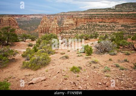 Western Colorado State paesaggio. Colorado National Monument vicino a Grand Junction, Colorado, Stati Uniti. Foto Stock