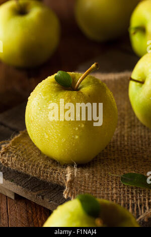 Materie organiche Golden Delicious pronto a mangiare Foto Stock