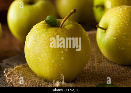 Materie organiche Golden Delicious pronto a mangiare Foto Stock