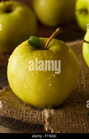 Materie organiche Golden Delicious pronto a mangiare Foto Stock