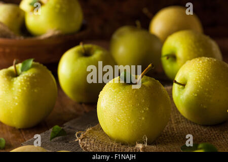 Materie organiche Golden Delicious pronto a mangiare Foto Stock