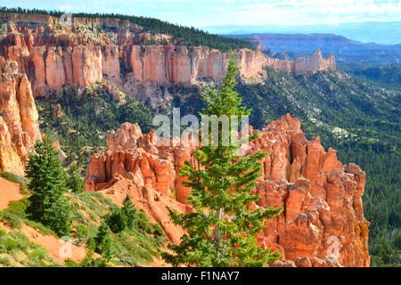 Vista da sopra il punto Ponderosa lungo Park road nel Parco Nazionale di Bryce Canyon in Utah sudoccidentale Foto Stock