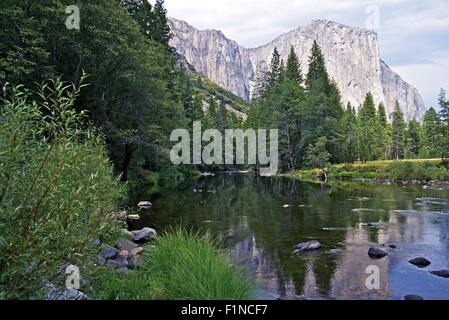Yosemite Valley e il fiume Merced. Stati Uniti d'America i parchi nazionali di raccolta di fotografie. Il parco nazionale di Yosemite in estate. Foto Stock